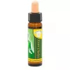 Esoterika - Chakra Essence -- Chakra Del Cuore - Heart chakra -- 10 Ml