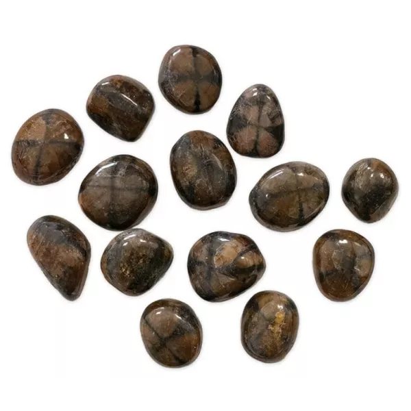 Esoterika - Chiasolite qualità A -- ±3cm