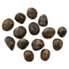 Esoterika - Chiasolite qualità A -- ±3cm