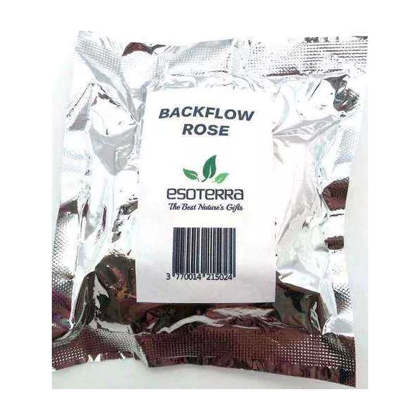 Esoterika - Coni Di Incenso Esoterra a flusso inverso backflow -- Rosa