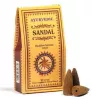 Esoterika - Coni Di Incenso indiano Ayurvedic a flusso inverso backflo
