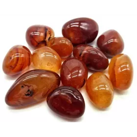 Esoterika - Corniola burattata