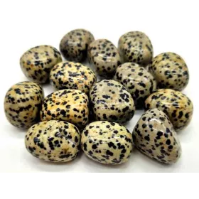 Esoterika - Diaspro Dalmata burattato