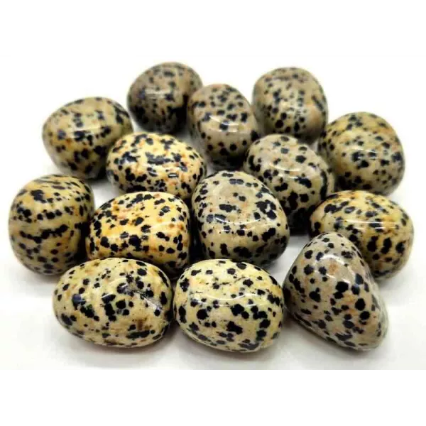 Esoterika - Diaspro Dalmata burattato singola pietra A-- ± 2-2,5Cm