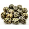 Esoterika - Diaspro Dalmata burattato singola pietra A-- ± 2-2,5Cm