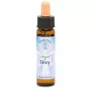 Esoterika - Angelo Della Gloria Essenze Degli Angeli -- Glory -- 10 Ml