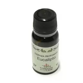 Esoterika - Essenza profumata eucalipto 10ml