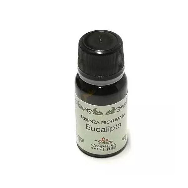Esoterika - Essenza profumata eucalipto 10ml