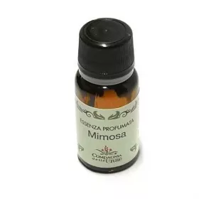 Esoterika - Essenza profumata mimosa 10ml