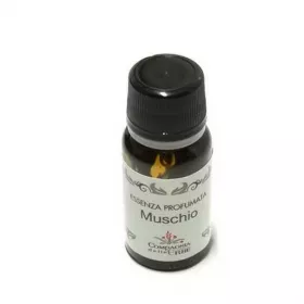 Esoterika - Essenza profumata muschio 10ml