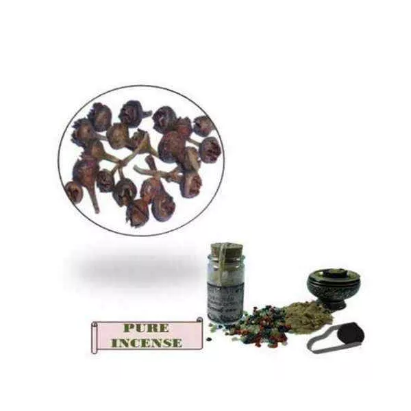 Esoterika - Incenso A Base Di Erbe Eucalipto - Eucalyptus -- 8 G- 30 M