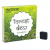 Esoterika - Aromafume Mattoncini Di Incenso Forest Dew -- 40 G