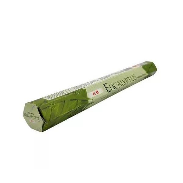 Esoterika - Incenso Eucaliptus scatola esagonale -- 20 g