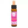 Esoterika - Karmic Flower Essence Fuchsia, -- 10 Ml