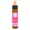 Esoterika - Karmic Flower Essence White Bluebell -- 10 Ml