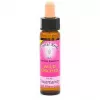 Esoterika - Karmic Flower Essence Wild Orchid -- 10 Ml