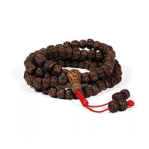 Esoterika - Mala in Rudraksha 108 grani lucidati -- 0.8 cm