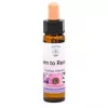 Esoterika - Belief Patterns Essence -- Aperti A Ricevere - Open to rec