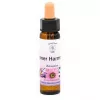 Esoterika - Belief Patterns Essence -- Armonia Interiore - Inner Harmo