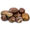 Esoterika - Pietre Jumbo In Legno Fossile - Singola pietra ±160 gr