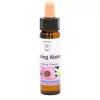 Esoterika - Belief Patterns Essence -- Guarire Da Un Abuso - Healing 