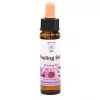 Esoterika - Belief Patterns Essence -- Sentirsi Sicuri - Feeling safe 