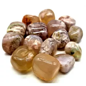 Esoterika - Agata Ciliegia