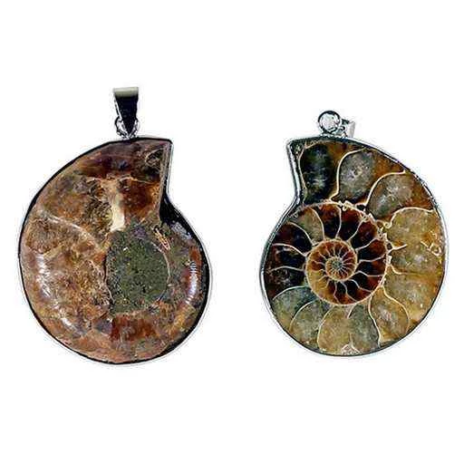 Ciondolo In Ammonite -- 3,5 Cm