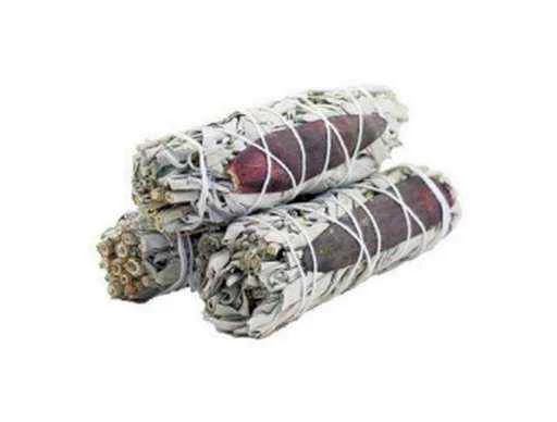 Smudge Dream Sage -- 10 Cm