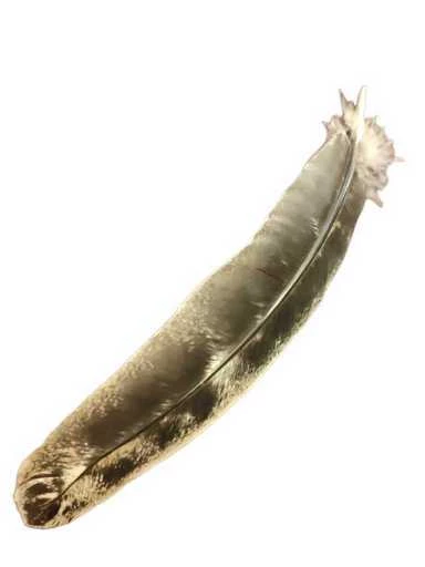Piuma di tacchino per fumigazione