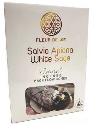 Coni Fleur de Vie a flusso inverso -- White Sage -- Confezione 10 coni