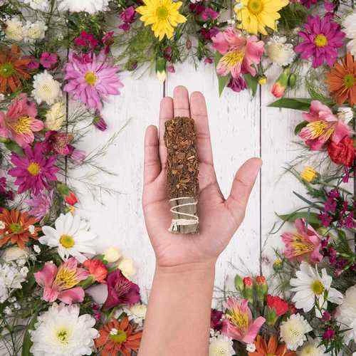 Smudge Sagrada Cannella e anice - confezione di 1 pz