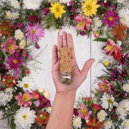 Smudge Sagrada Madre Frankincense - confezione di 1 pz