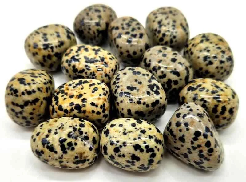Diaspro Dalmata burattato
