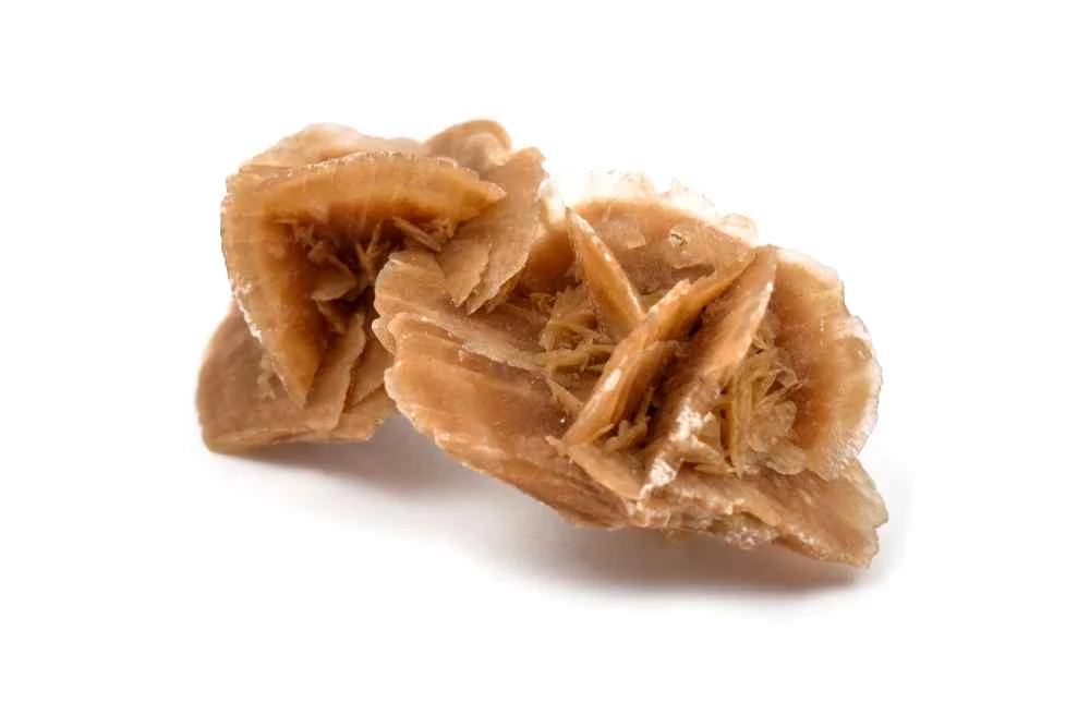 Rosa del deserto
