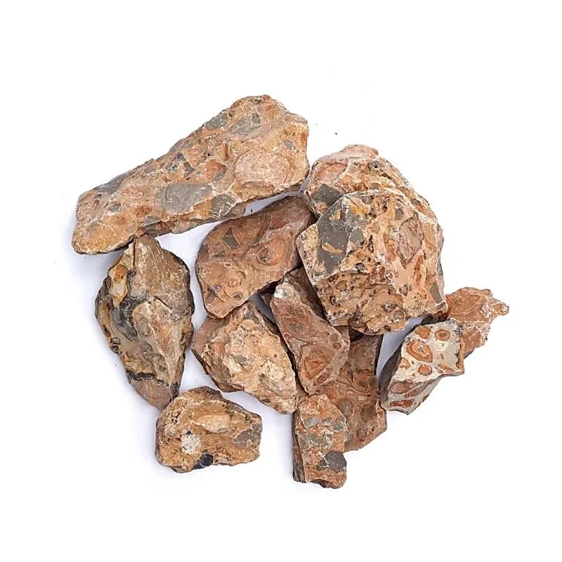 Leopardite Grezza singola pietra -- 3-8 Cm