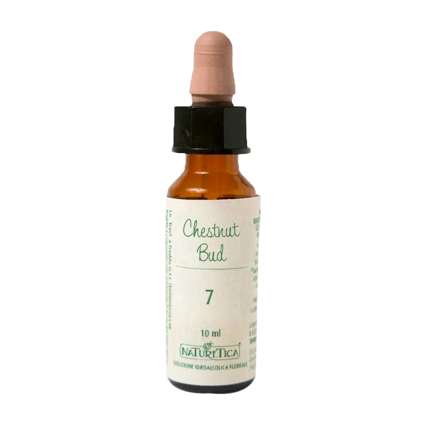 Fiori di Bach Chestnut Bud -- 10 ml