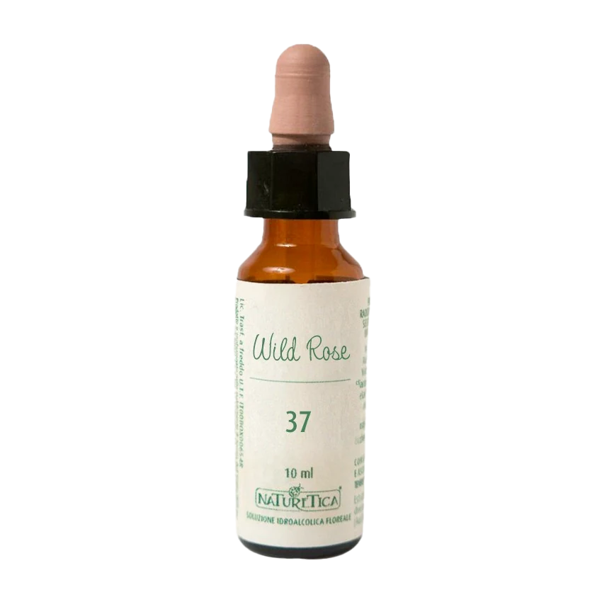 Fiori di Bach Wild Rose -- 10 ml